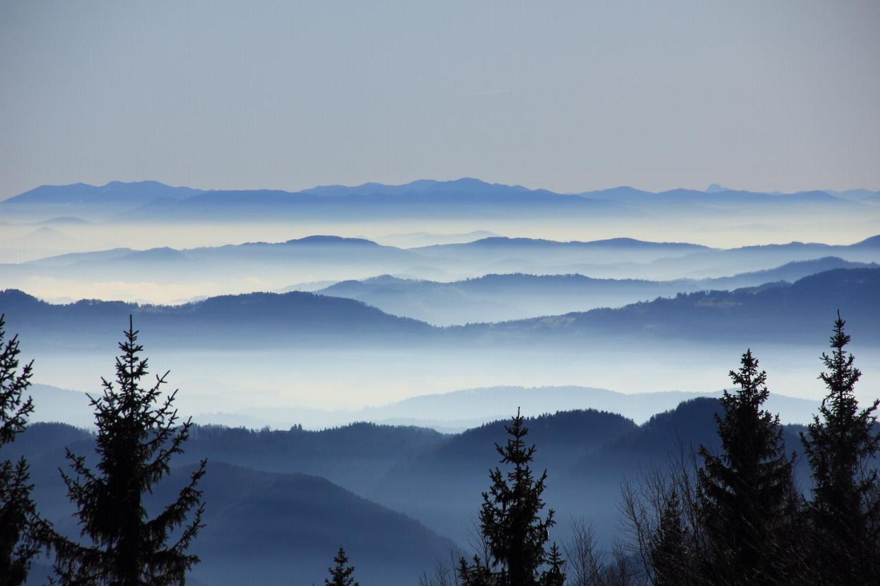 Velika Planina Chalet Slovenka Stahovica Buitenkant foto