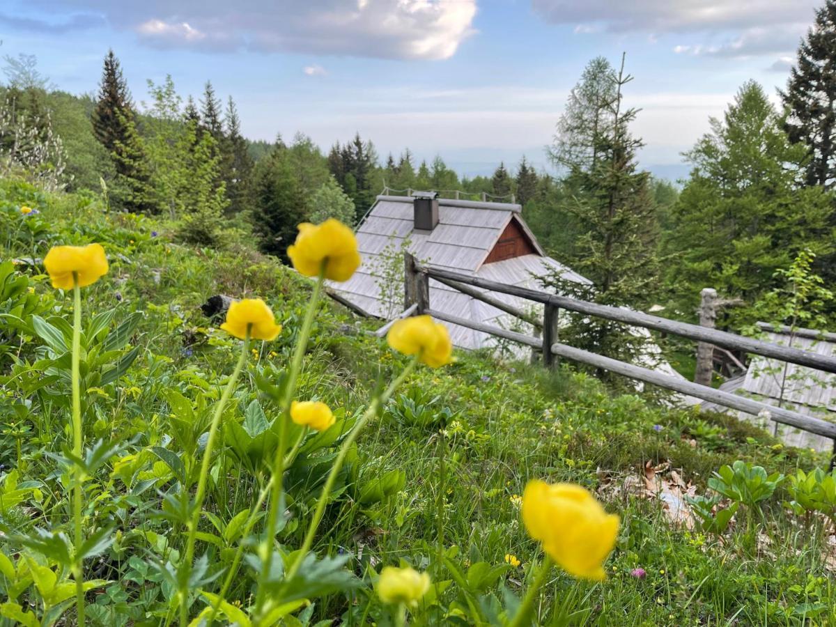 Velika Planina Chalet Slovenka Stahovica Buitenkant foto
